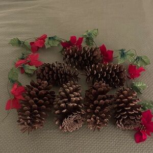 7 North Carolina Pine Cones